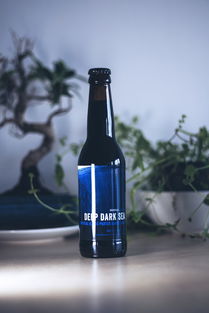 玻璃瓶中的社會責(zé)任 波蘭華沙啤酒業(yè)的藍(lán)色常春藤